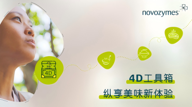 《4D風味之旅》視頻